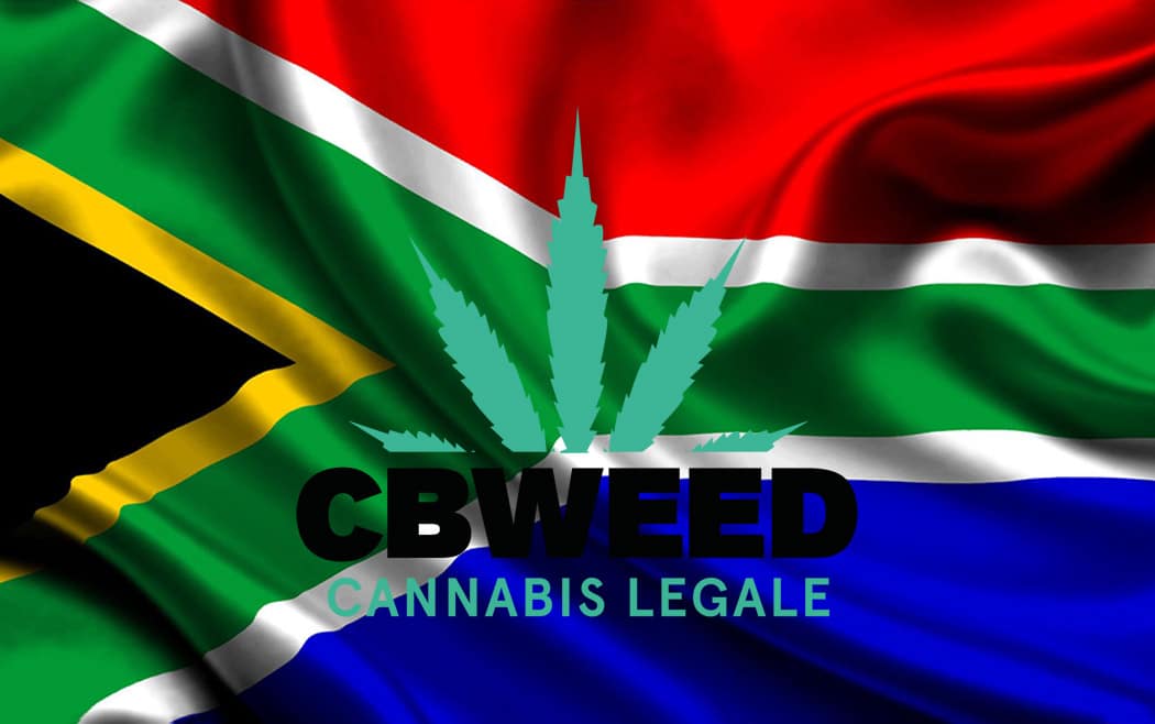 Depenalizzazione Sud Africa Cannabis Terapeutica Corea Sud