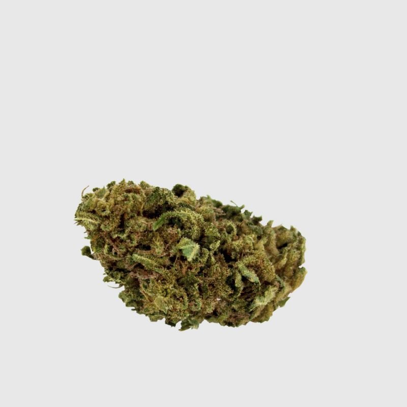 Cannabis Light Cbweed Bubblegum CBD