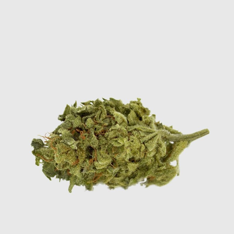 Cannabis Light Super Lemon Haze CBD