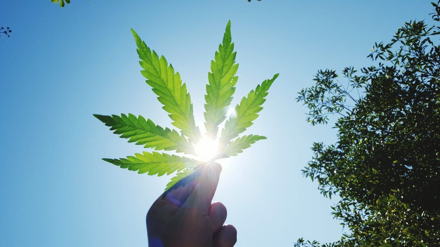 Movimento cinque Stelle sostegno Cannabis Light