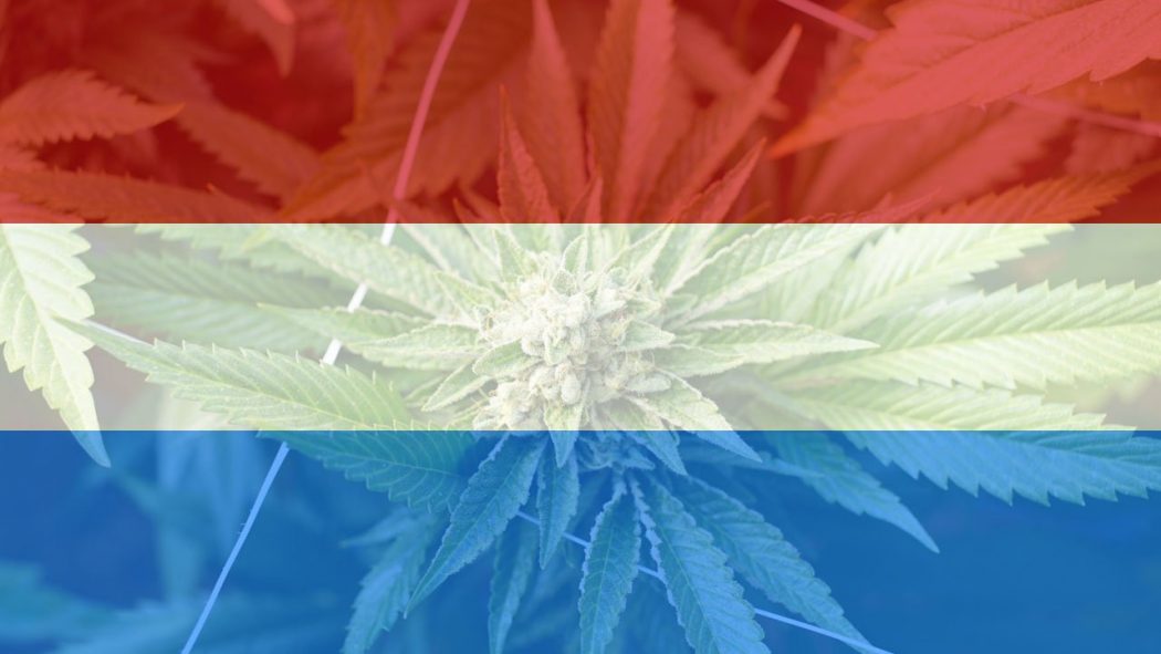 Lussemburgo primo stato Europa legalizzare la cannabis?
