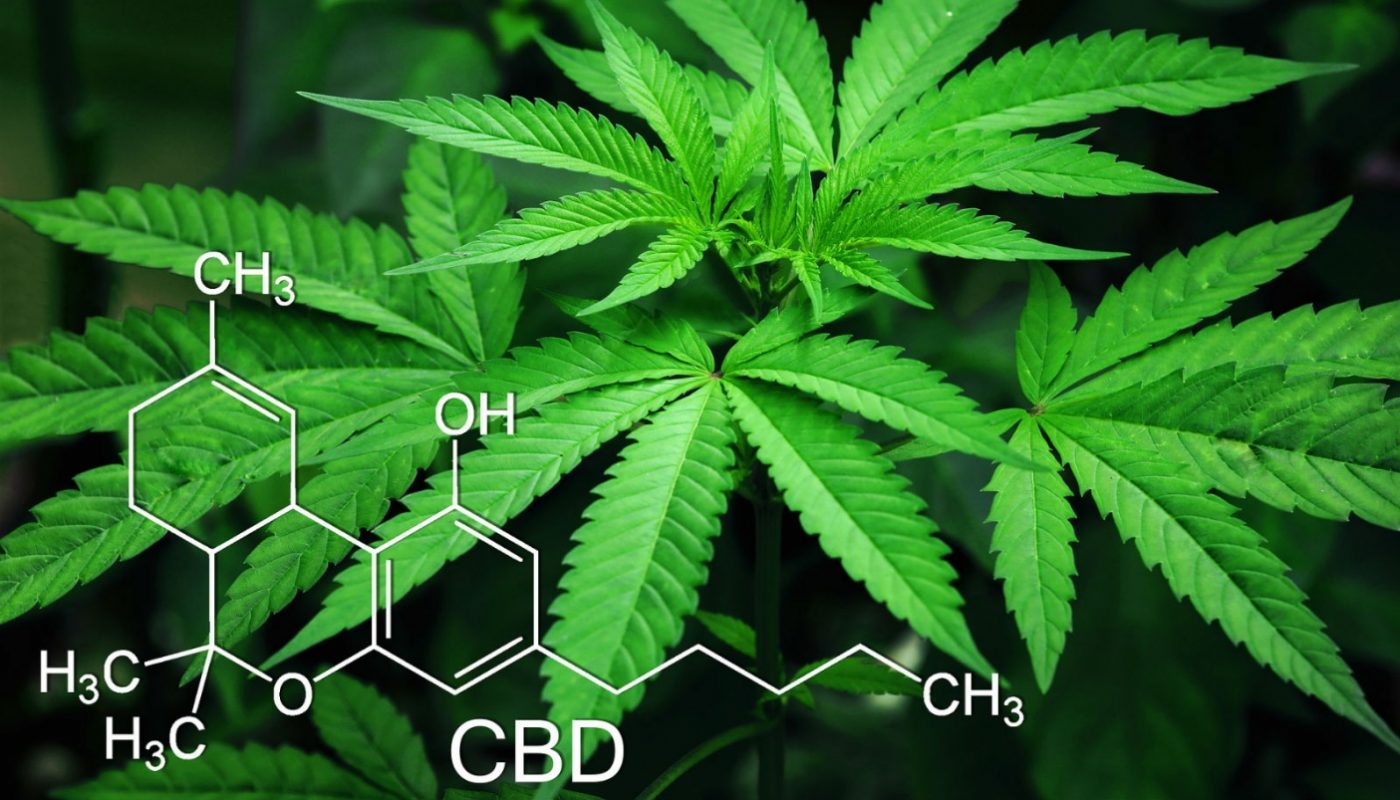 USA studio conferma cannabis alternativa antidolorifici