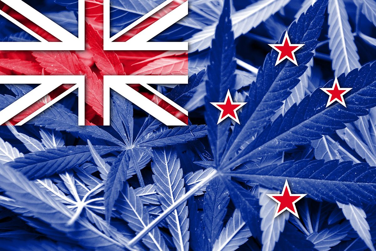 La Nuova Zelanda verso la legalizzazione