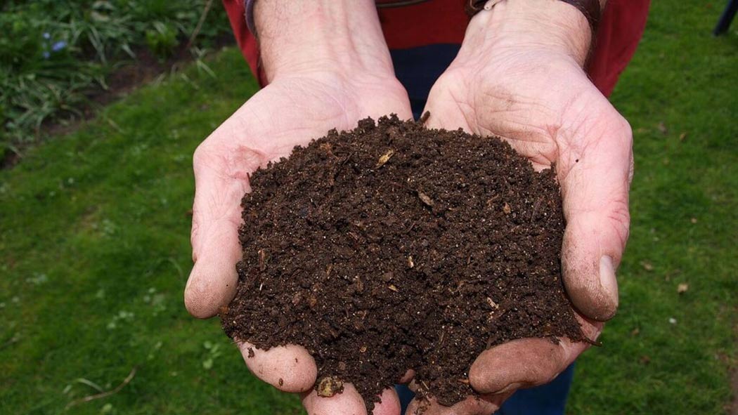 Come-Fare-Compost-Bio-Fertilizzante-Cannabis
