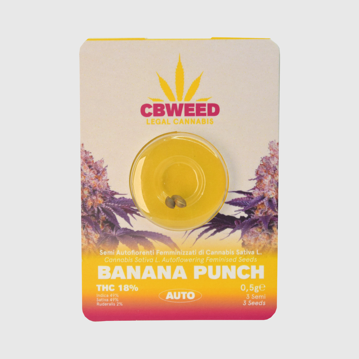 Banana Punch Banana Punch Auto - Image 1
