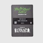 Sweet Mango Auto - immagine 2