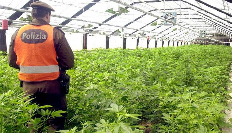 Blocco Frontiere Cannabis Light Importata Svizzera