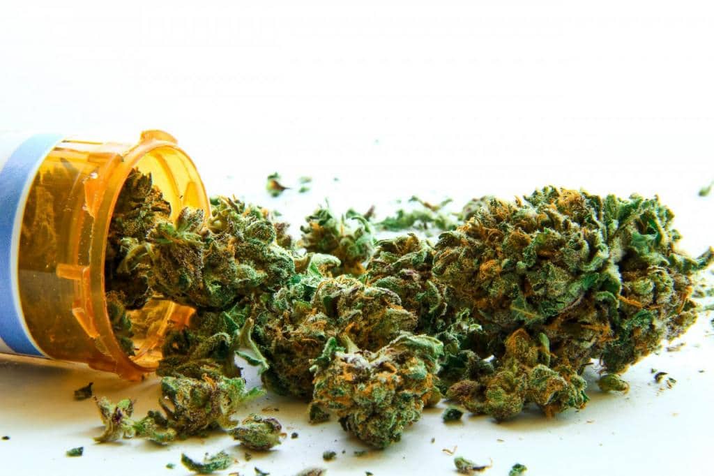Irlanda cannabis medica testata 5 anni