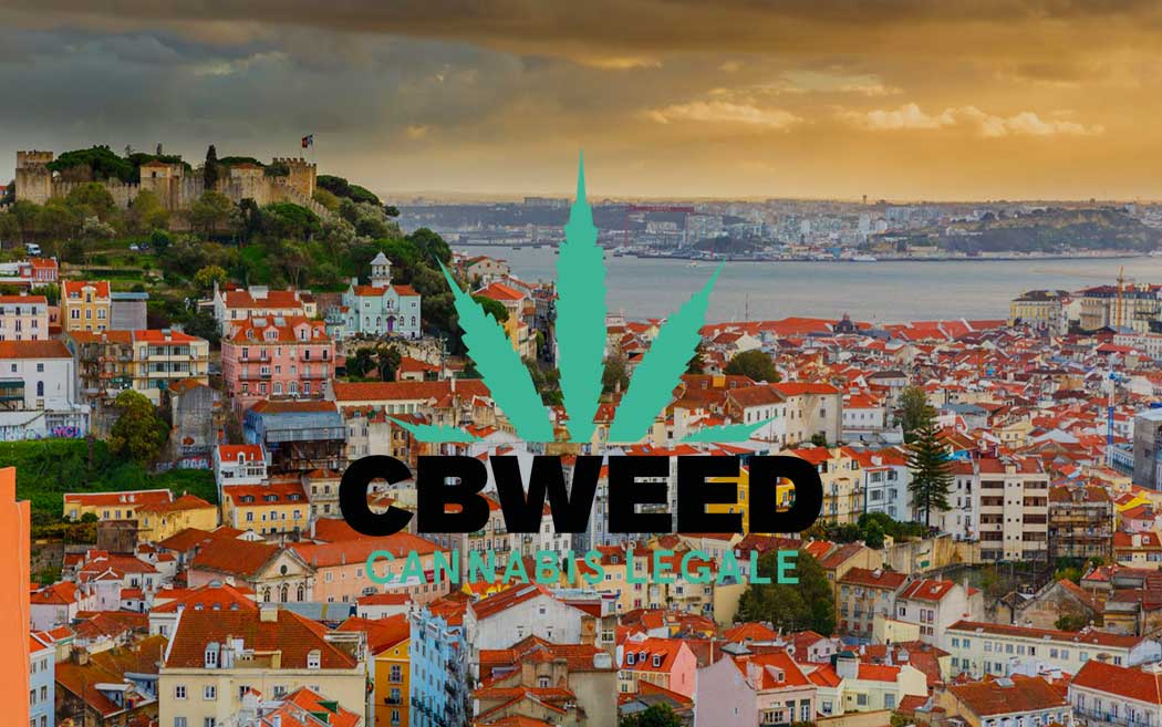 Migliori Mete Turistiche Ama Cannabis Canapa Viaggio