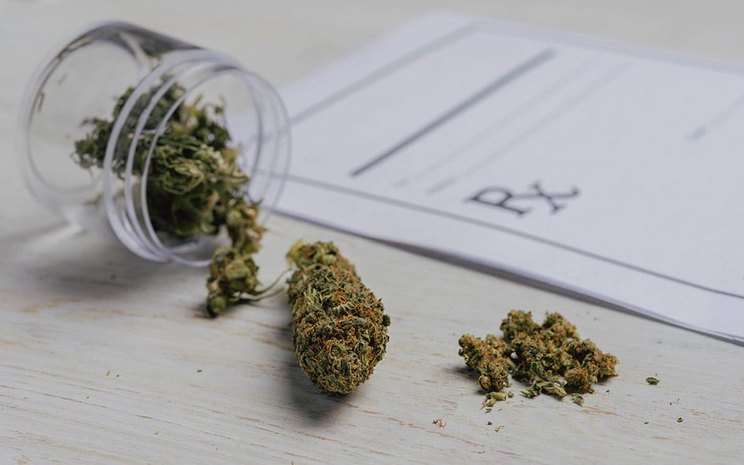 Cannabis Terapeutica Cura Gestione Sintomi Sclerosi Multipla