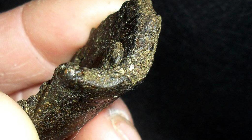 What Are Cannabis Concentrates Hashish Charas Kief