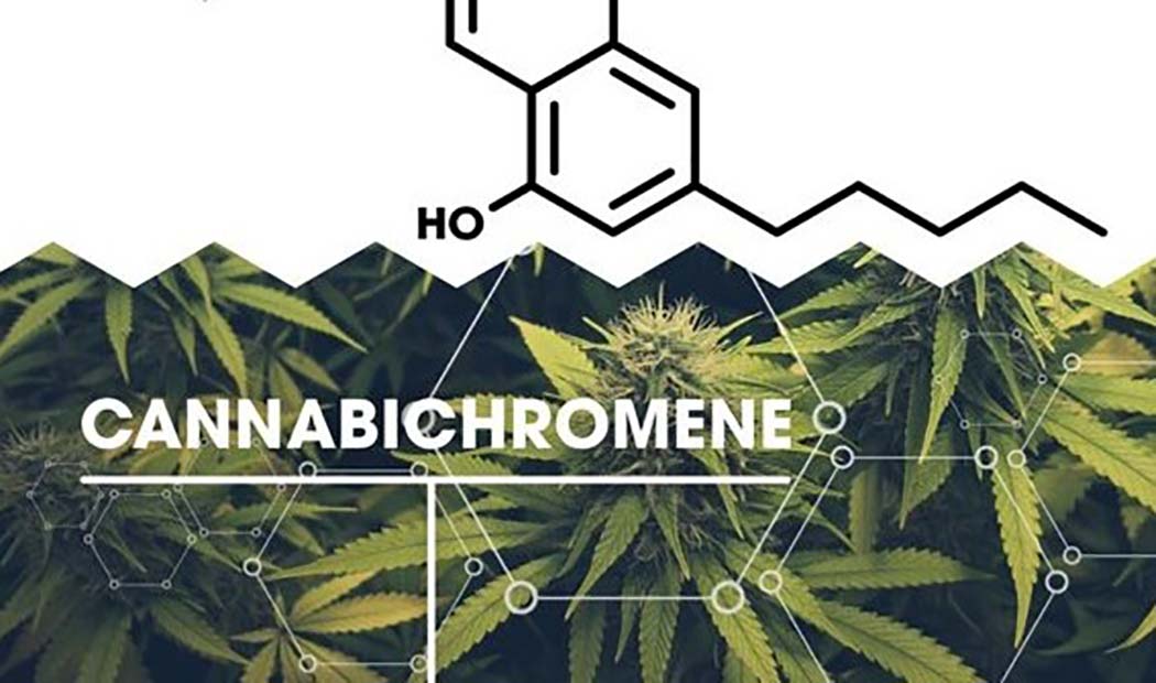 What Cannabichromene Anti-Inflammatory Painkilling Cannabinoid