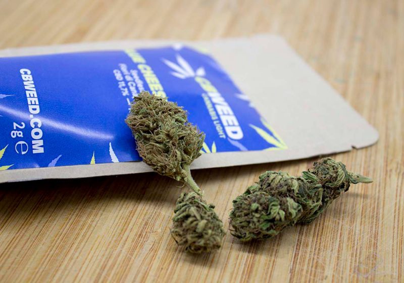 Storia e caratteristiche della Cheese, la genetica di cannabis all'aroma di formaggio