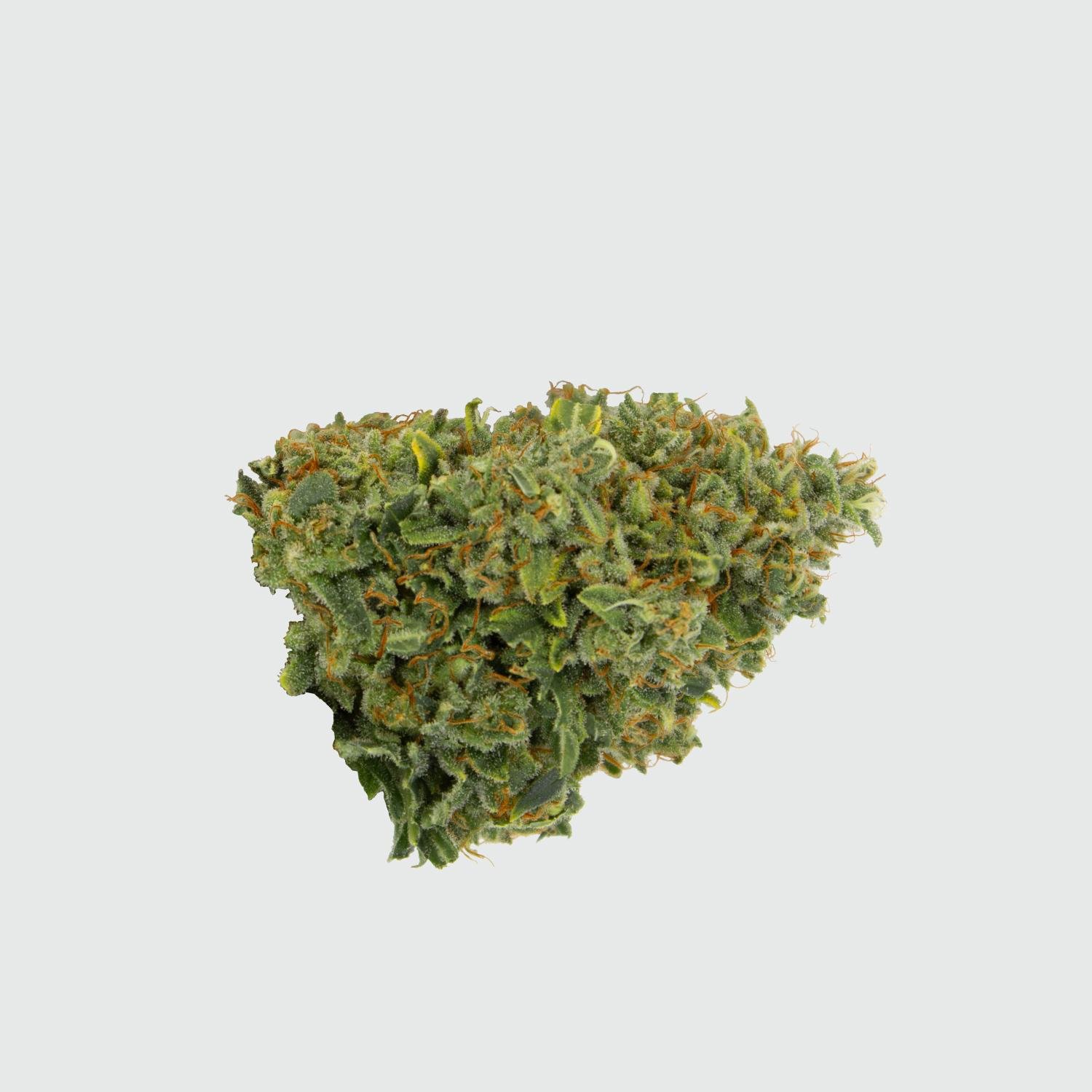 CBWEED-Green-House-Seed-Franco's-Lemon-Cheese-CBD