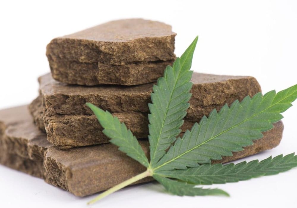 Tipi di hashish, le varietà più famose e apprezzate dagli appassionati