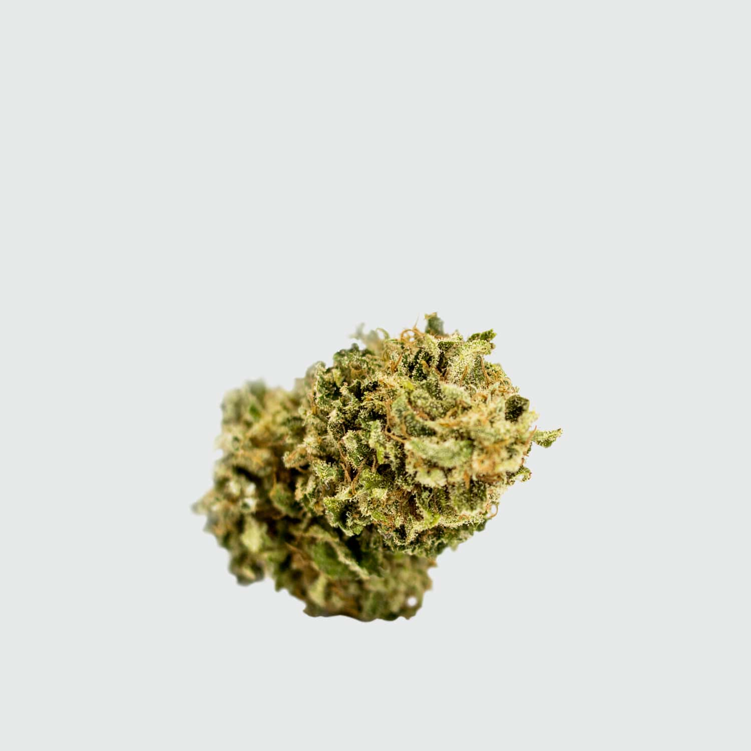 CANNABIS LIGHT CBWEED CB#01 CBD – 5G EU