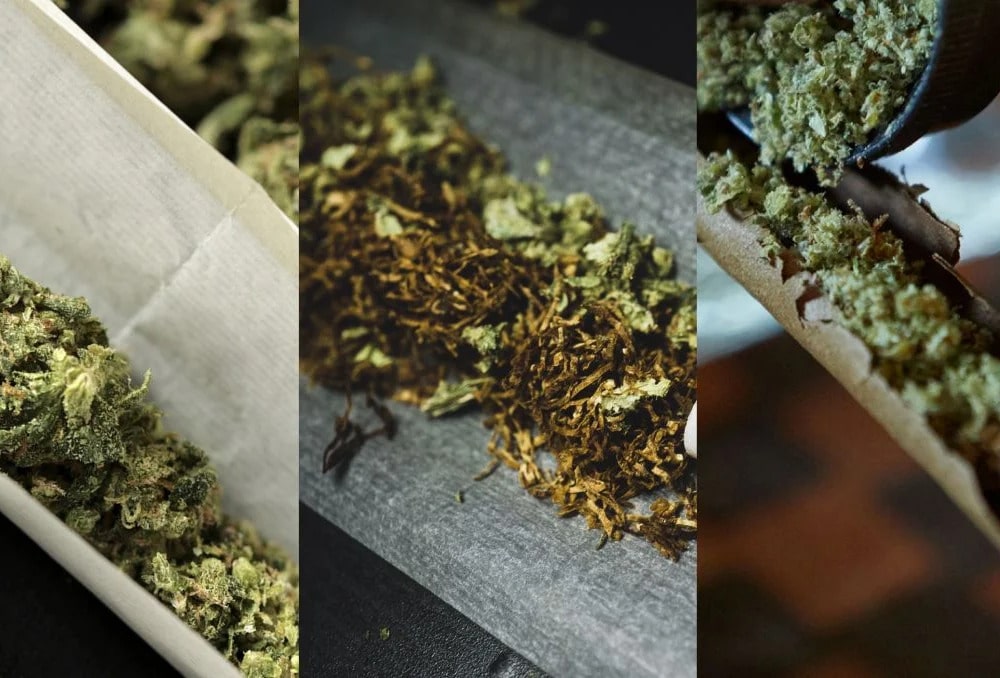  Joint, spliff e blunt sono la stessa cosa o c'è differenza?