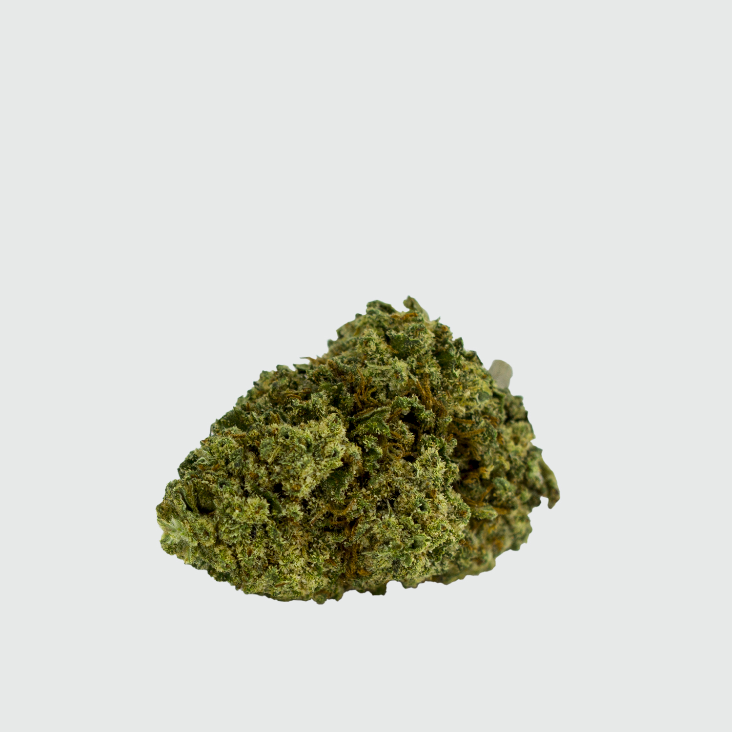 Cannabis Light Cbweed Kingston CBD - 5g EU