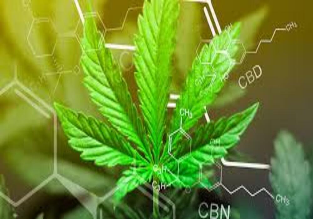 CBG, CBD e CBN: le differenze fondamentali