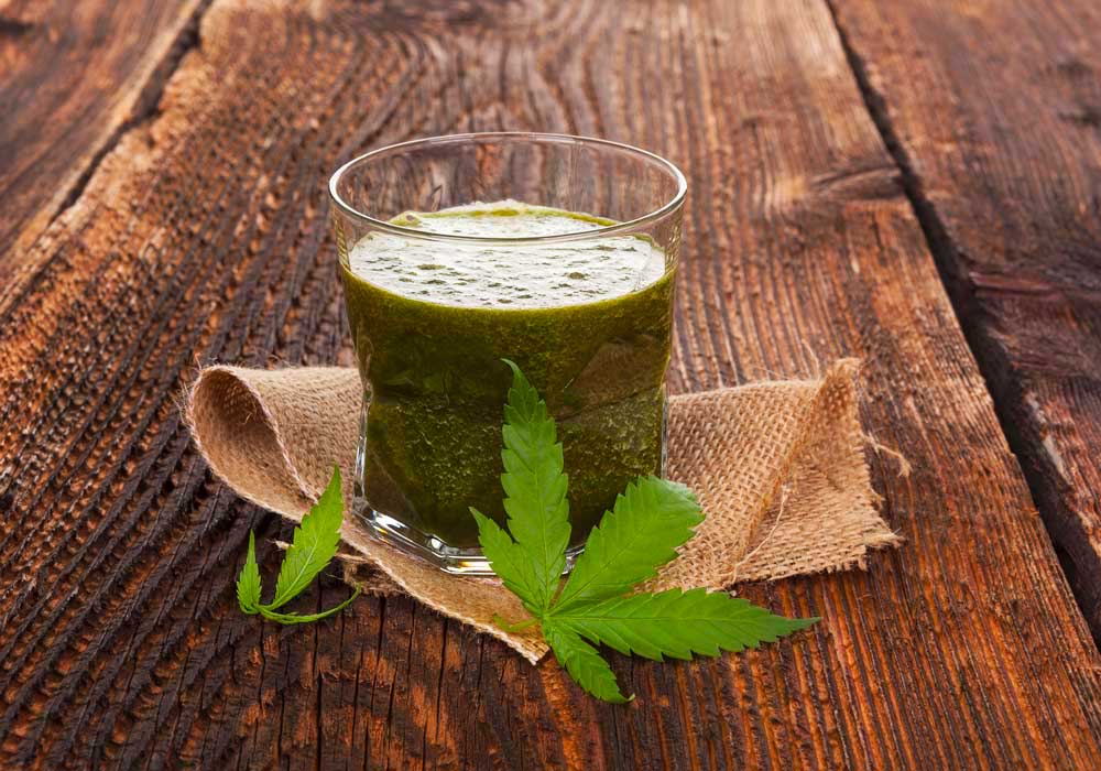 bhang-lassi-ricetta-bevanda-india-cannabis-yogurt