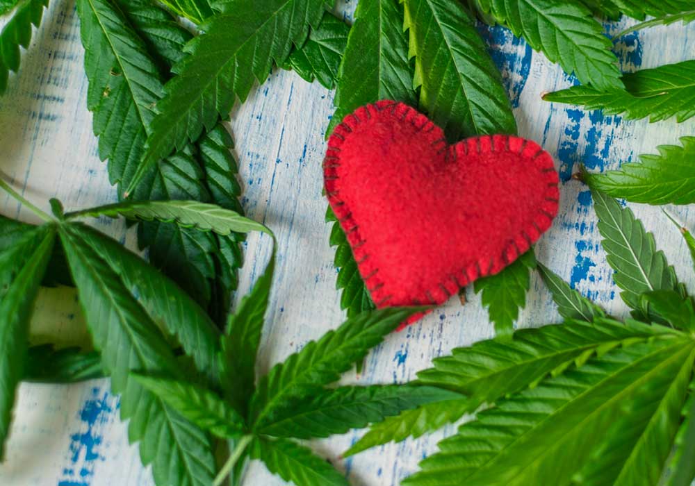 cannabis-tachicardia