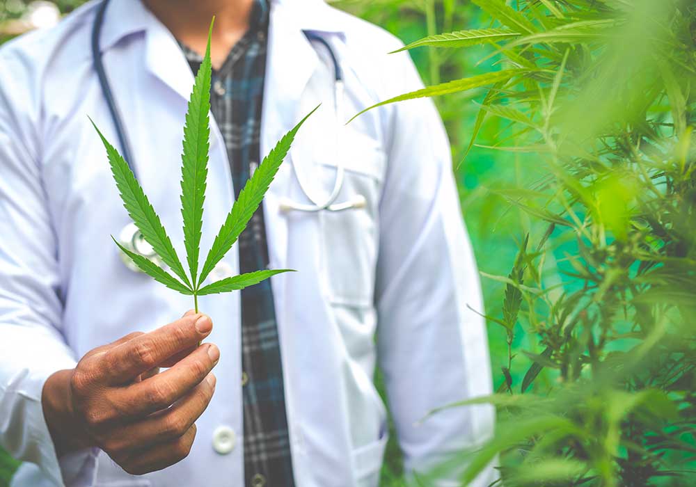 interazioni-farmaci-cannabis-cosa-sapere-medicinali